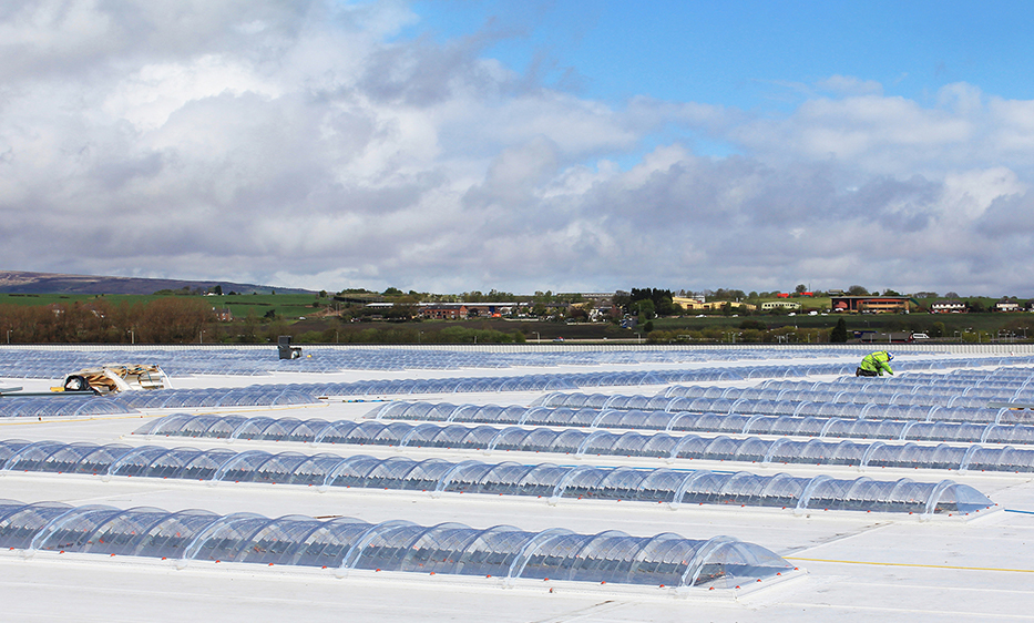 農(nóng)業(yè)生產(chǎn)